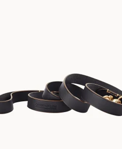 Alto Dog Leash