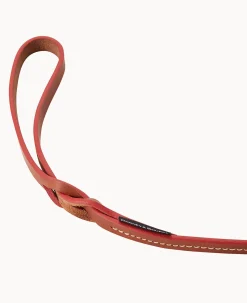 Dog Leash