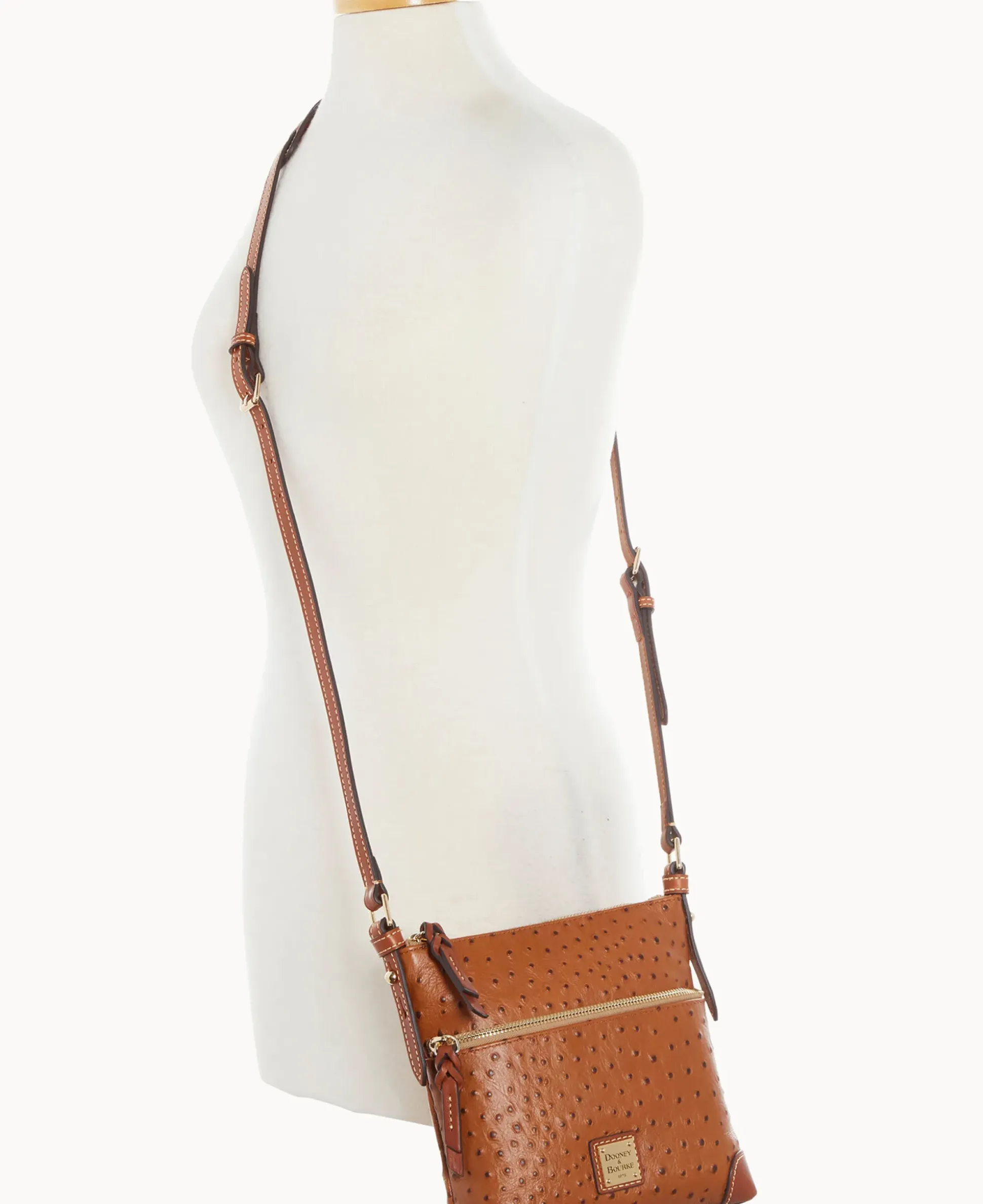 Ostrich Letter Carrier